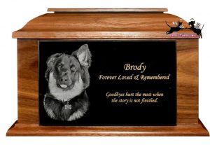 brody333-memorial-urn-pet