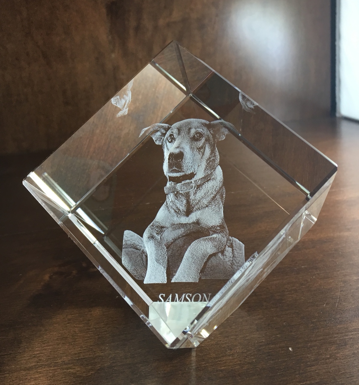 3D Pet Memorial Crystals Pet Urns By Paws2Heaven