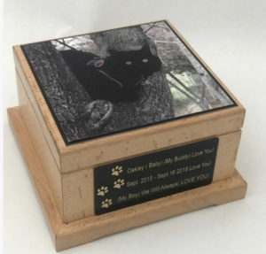 Glass-black=cat=urn