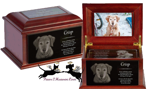 This urn stores your beloved pets ashes and looks like a fine piece of art