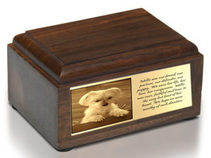 dog-millie
